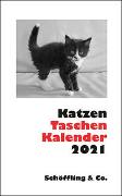 Katzen Taschenkalender 2021
